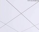 Потолочная плита Orcal AXAL Vector 600x600x24 (Оркал аксал гладкая) Армстронг
